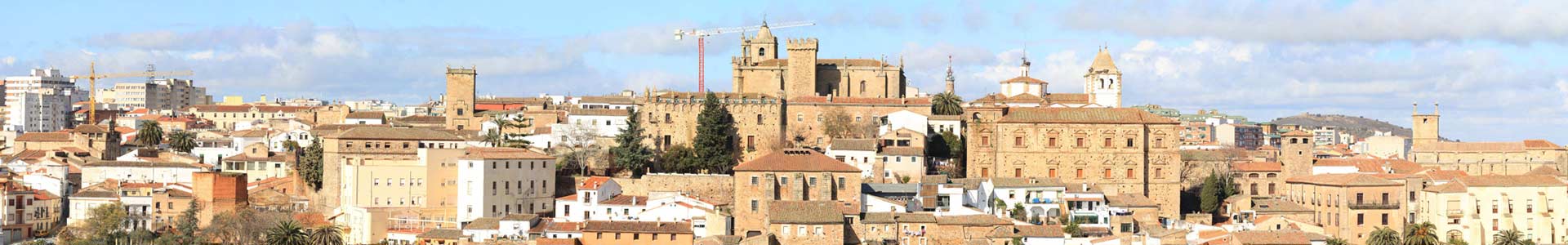 Comida típica de España comida tipica caceres