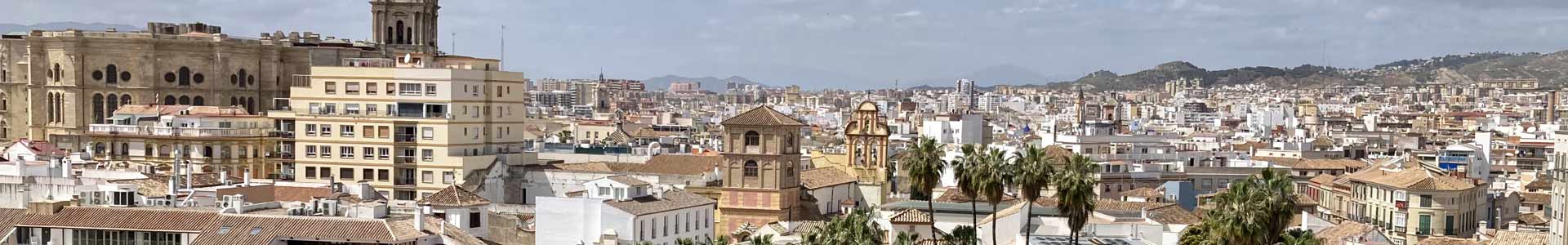Comida típica de España comida tipica malaga