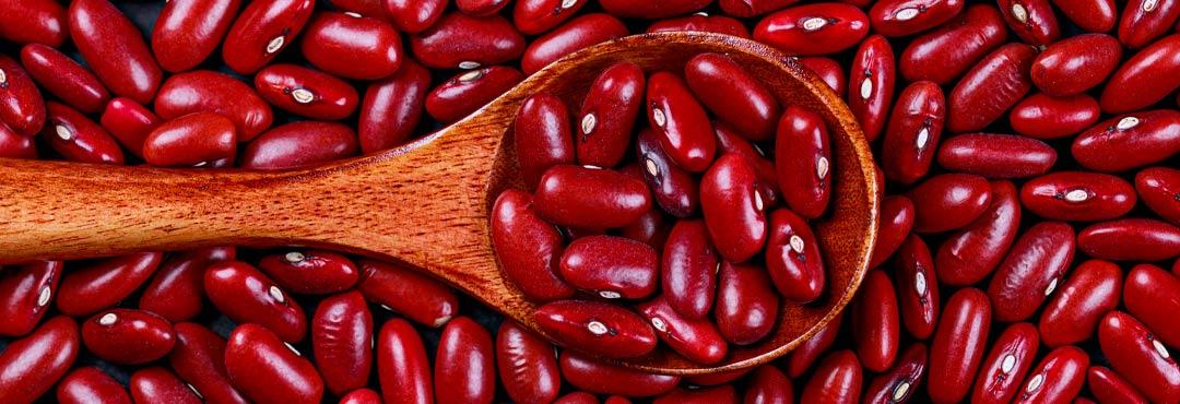 Comida típica de España alubias rojas estofadas