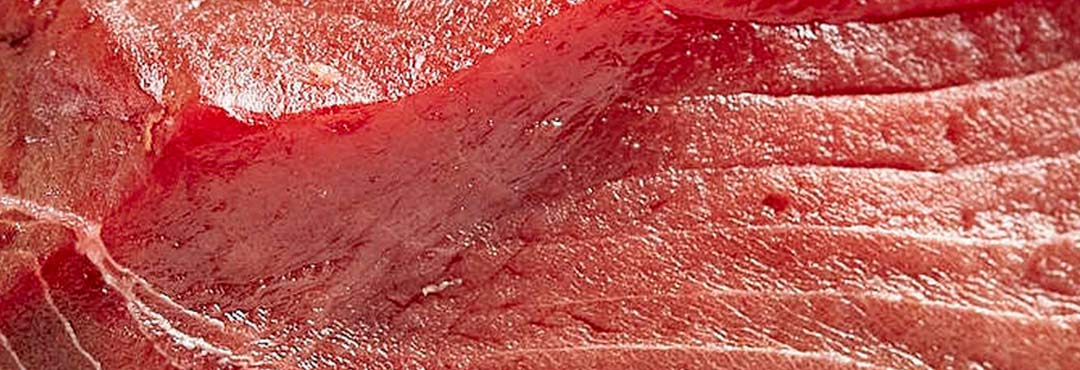 Comida típica de España atun rojo de almadraba