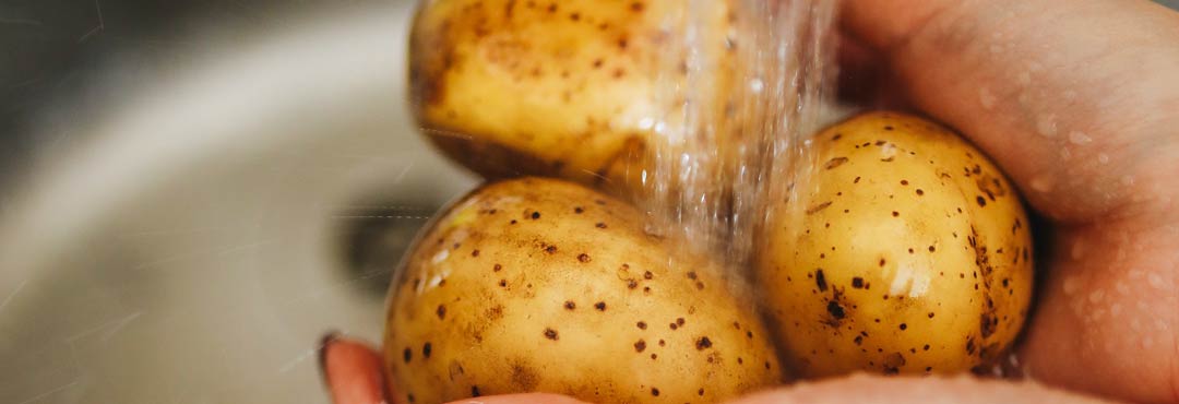 Comida típica de España escacho de la palma