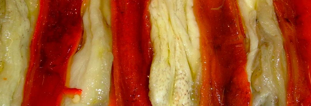 Comida típica de España escalivada de bacalao