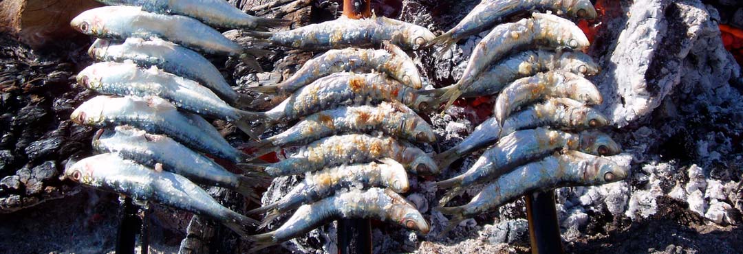 Comida típica de España espeto de sardinas