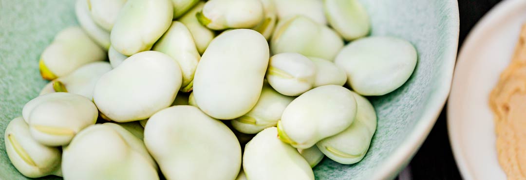 Comida típica de España habas enzapatas