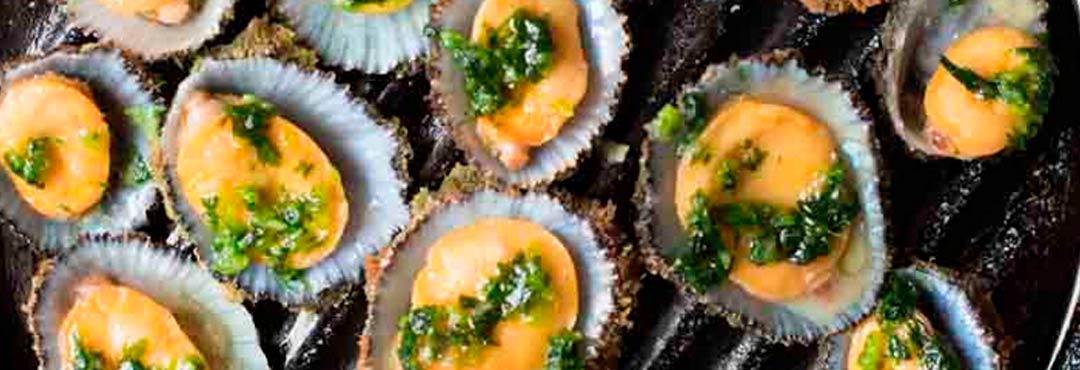 Comida típica de España lapas de fuerteventura