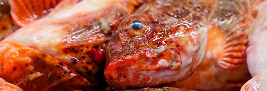 Comida típica de España machote al estilo de santander