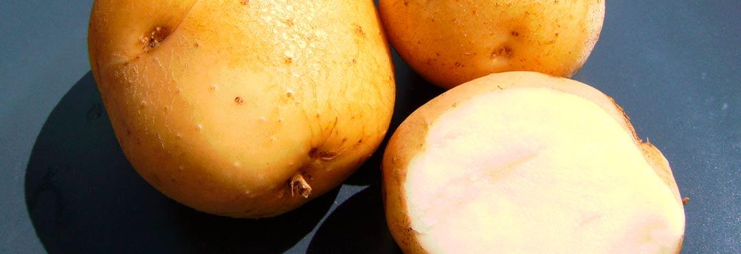 Comida típica de España patatas al estilo de olot