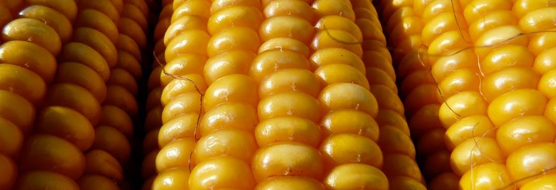 Comida típica de España potaje de berros