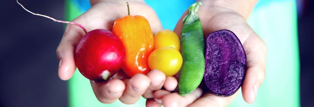Comida típica de España 6 mejores verduras hostalizas espana