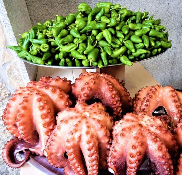 Comida típica de España ajo harina plato tipico de jaen y tambien muy poular en murcia y la mancha 1