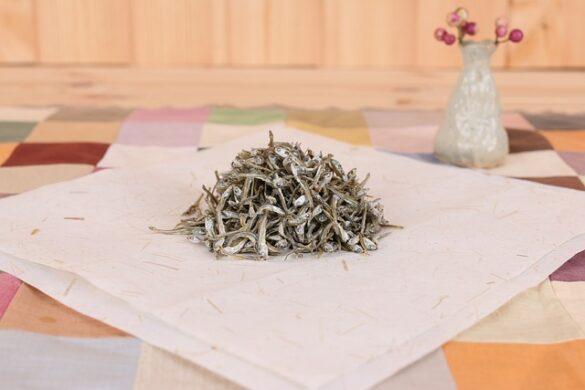 Comida típica de España bocartes a la cazuela al estilo de cantabria sencillamente especiales 3