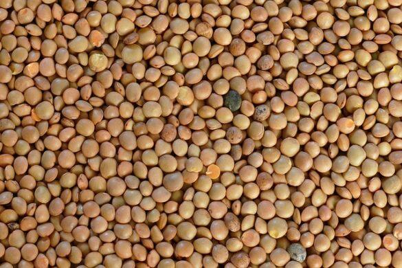 Comida típica de España chiretas de huesca especialidad tipica de montana 4