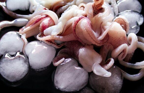 Comida típica de España maganos encebollados pequenos calamares tipicos de aguas cantabricas 4