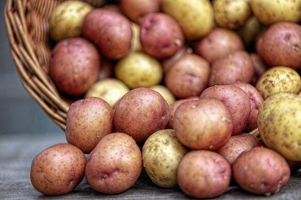 Comida típica de España patatas a lo pobre solas o en compania que ricas estan 1