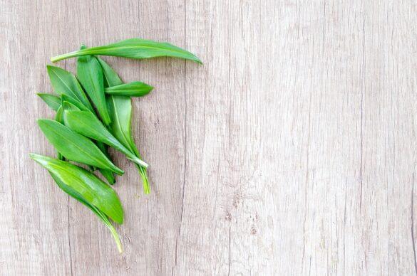Comida típica de España potaje gaditano de tagarninas energia silvestre para combatir el frio invernal 5
