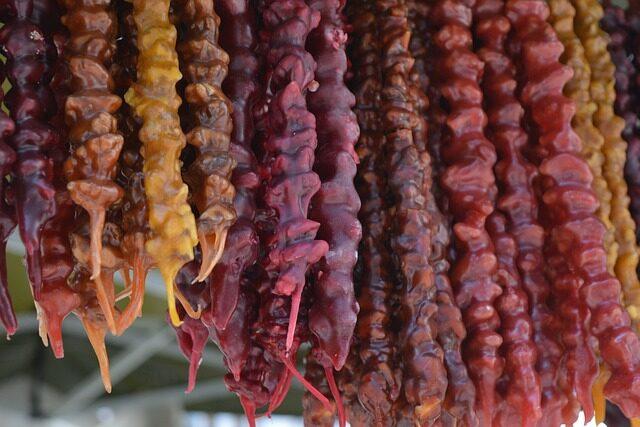 Comida típica de España que comen en georgia gastronomia y platos tipicos 4